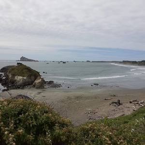 Meet your Posher, Ashton